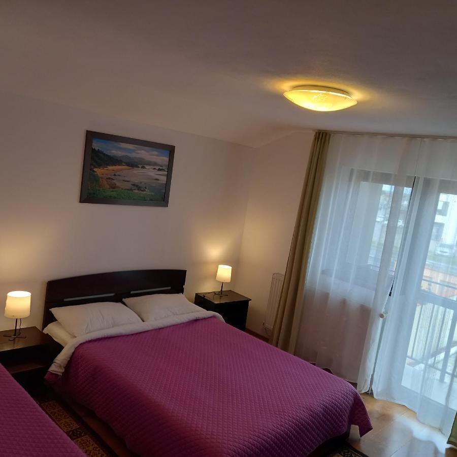 Charter Apartments Costea Sibiu Exteriér fotografie
