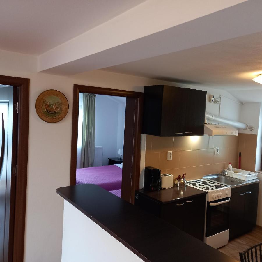 Charter Apartments Costea Sibiu Exteriér fotografie
